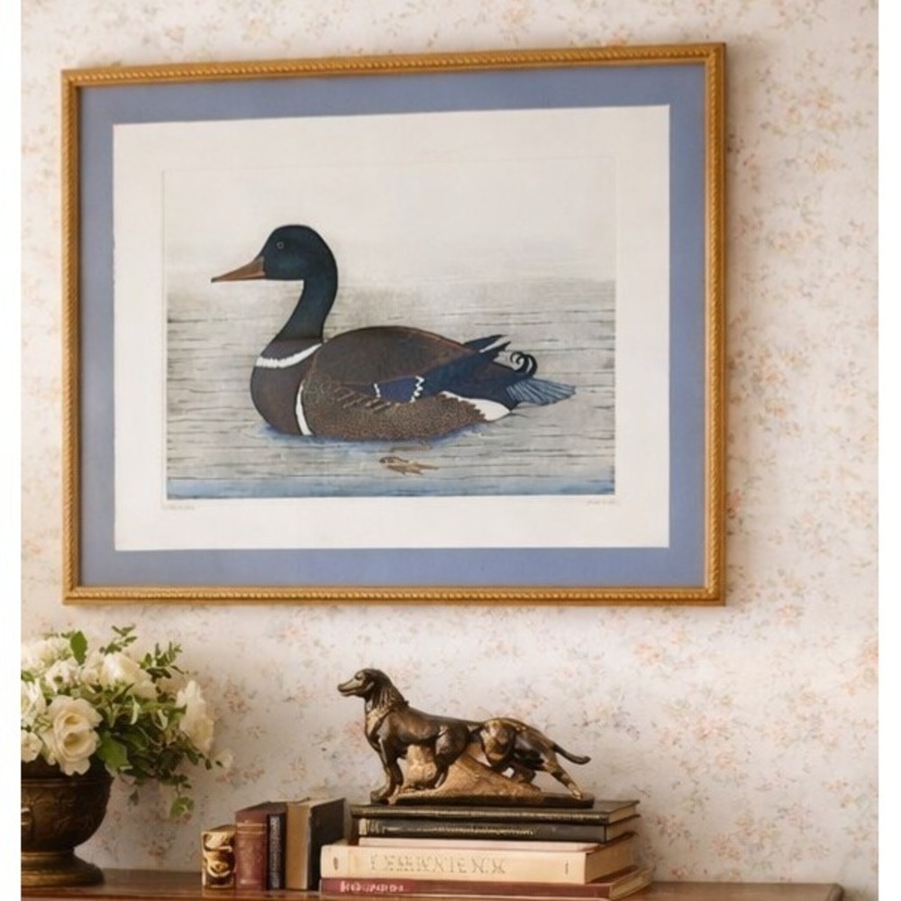 DAN MITRA PRINT 25 X 30.5 SIGNED NUMBERED FRAMED Mallard Duck Colored Etching